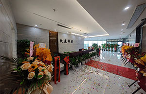 WM视讯喜迁新址