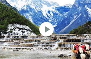 2017年WM视讯科技团建-云南之旅