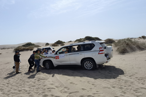 首页-WM视讯厅真人官方网站