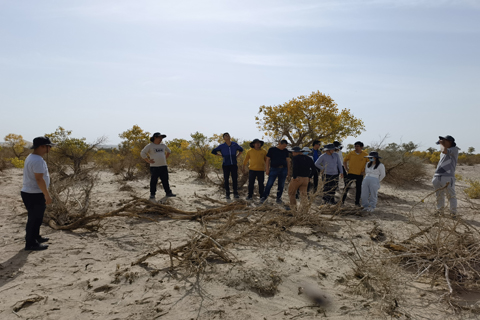 首页-WM视讯厅真人官方网站