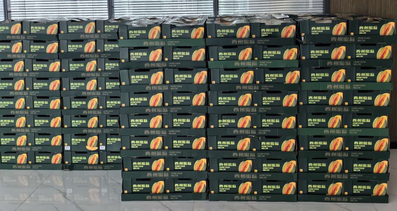 首页-WM视讯厅真人官方网站